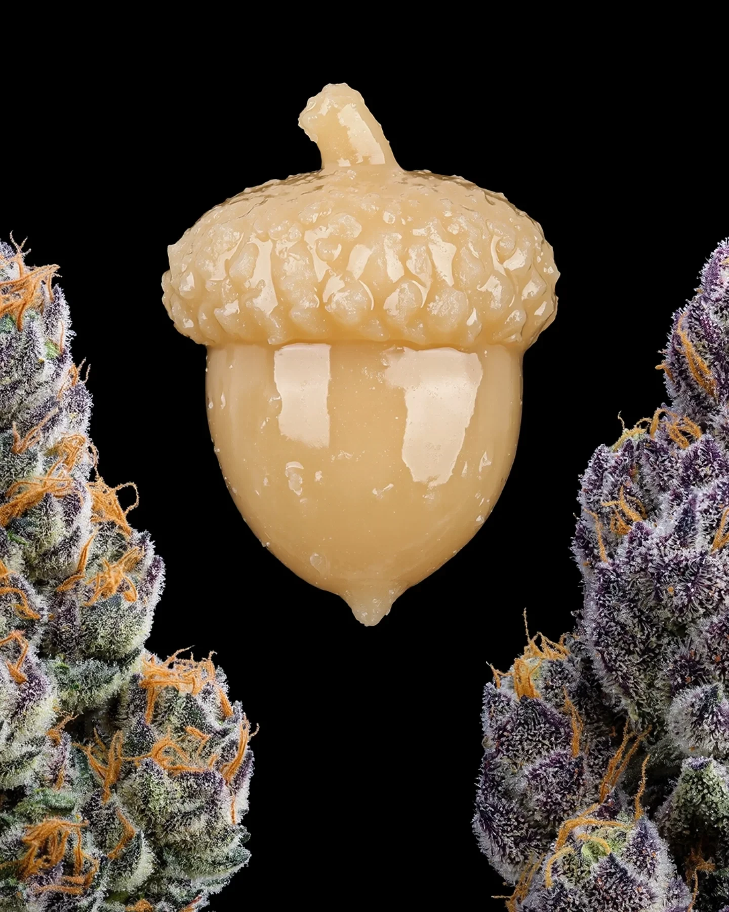 DrBaph digital rosin art piece