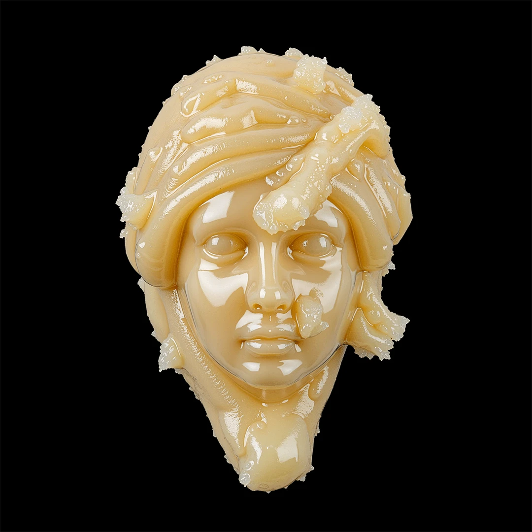 Field Trip rosin logo - digital art by DrBaph